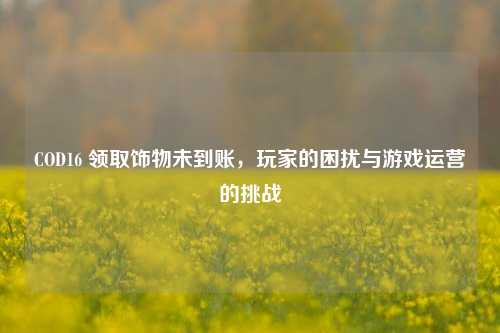 COD16 领取饰物未到账，玩家的困扰与游戏运营的挑战