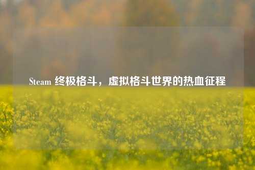 Steam 终极格斗，虚拟格斗世界的热血征程