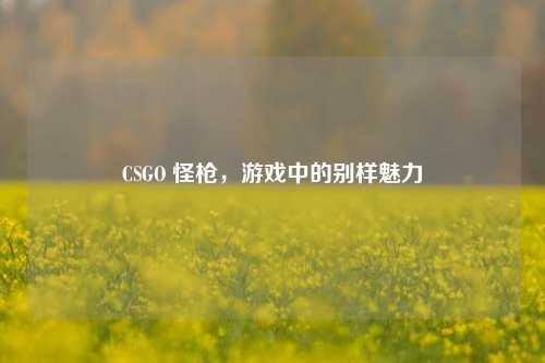 CSGO 怪枪，游戏中的别样魅力