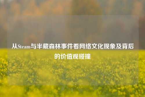从Steam与半藏森林事件看网络文化现象及背后的价值观碰撞