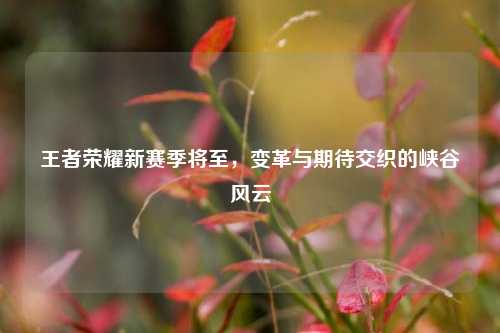 王者荣耀新赛季将至，变革与期待交织的峡谷风云