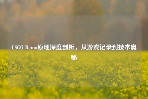 CSGO Demo原理深度剖析，从游戏记录到技术奥秘