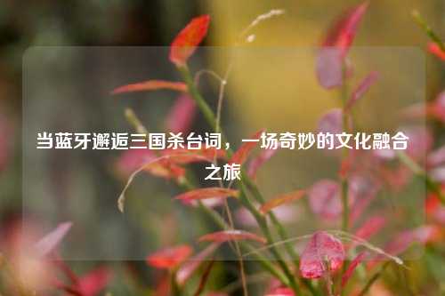 当蓝牙邂逅三国杀台词，一场奇妙的文化融合之旅