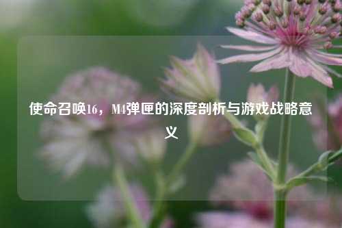 使命召唤16，M4弹匣的深度剖析与游戏战略意义