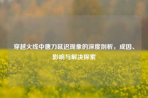 穿越火线中唐刀延迟现象的深度剖析，成因、影响与解决探索