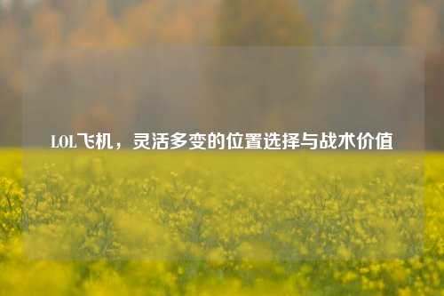 LOL飞机，灵活多变的位置选择与战术价值