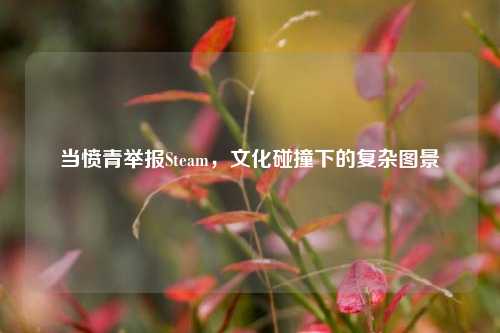 当愤青举报Steam，文化碰撞下的复杂图景
