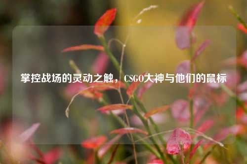 掌控战场的灵动之触，CSGO大神与他们的鼠标