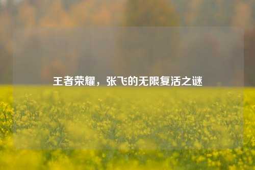 王者荣耀，张飞的无限复活之谜
