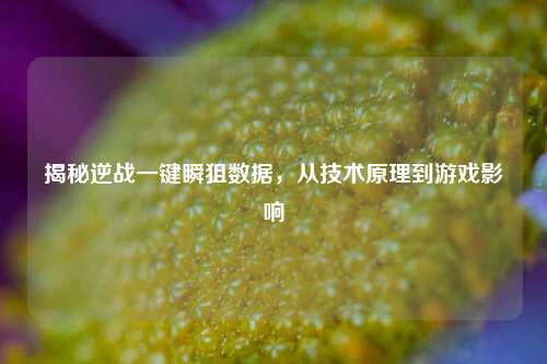 揭秘逆战一键瞬狙数据，从技术原理到游戏影响