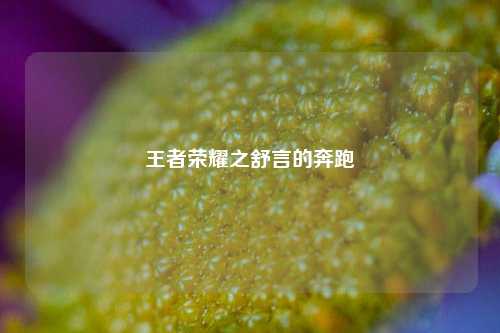 王者荣耀之舒言的奔跑