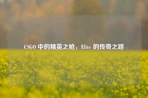 CSGO 中的精英之枪，Elite 的传奇之路