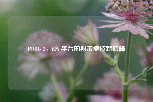 PUBG 2，iOS 平台的射击竞技新巅峰
