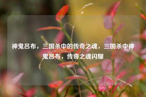 神鬼吕布，三国杀中的传奇之魂，三国杀中神鬼吕布，传奇之魂闪耀
