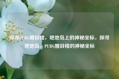 探寻PUBG醒目楼，绝地岛上的神秘坐标，探寻绝地岛，PUBG醒目楼的神秘坐标