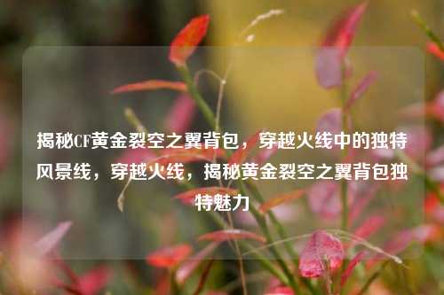揭秘CF黄金裂空之翼背包，穿越火线中的独特风景线，穿越火线，揭秘黄金裂空之翼背包独特魅力