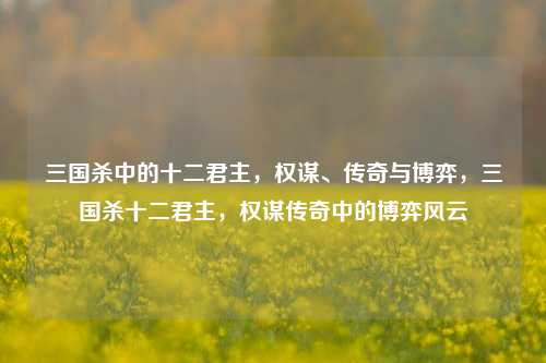 三国杀中的十二君主，权谋、传奇与博弈，三国杀十二君主，权谋传奇中的博弈风云