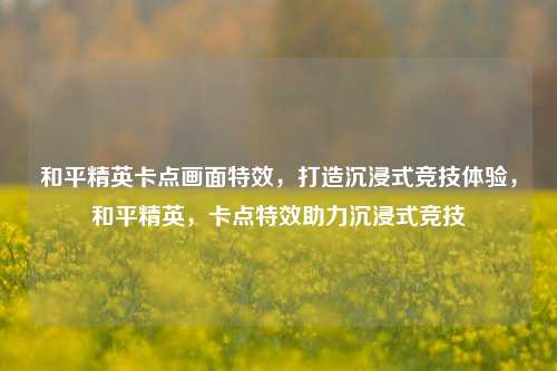 和平精英卡点画面特效，打造沉浸式竞技体验，和平精英，卡点特效助力沉浸式竞技