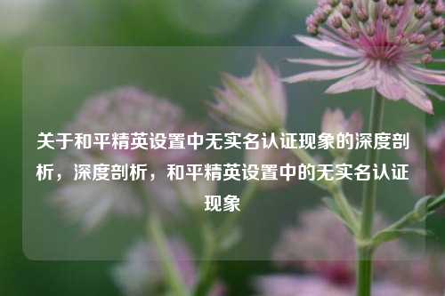 关于和平精英设置中无实名认证现象的深度剖析，深度剖析，和平精英设置中的无实名认证现象
