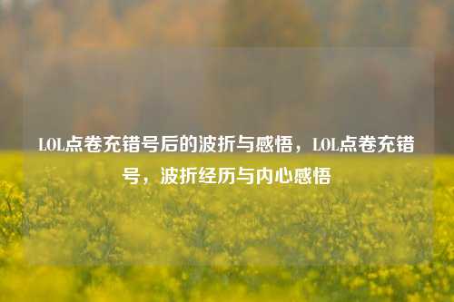 LOL点卷充错号后的波折与感悟，LOL点卷充错号，波折经历与内心感悟