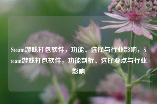 Steam游戏打包软件，功能、选择与行业影响，Steam游戏打包软件，功能剖析、选择要点与行业影响