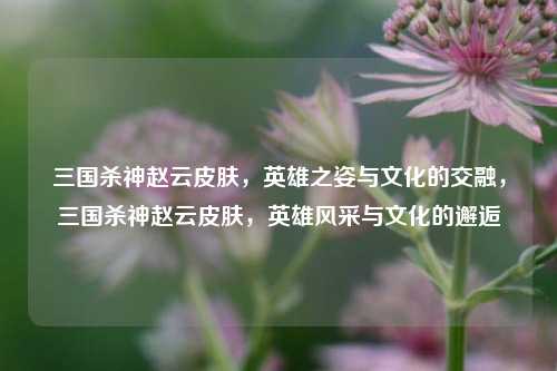 三国杀神赵云皮肤，英雄之姿与文化的交融，三国杀神赵云皮肤，英雄风采与文化的邂逅