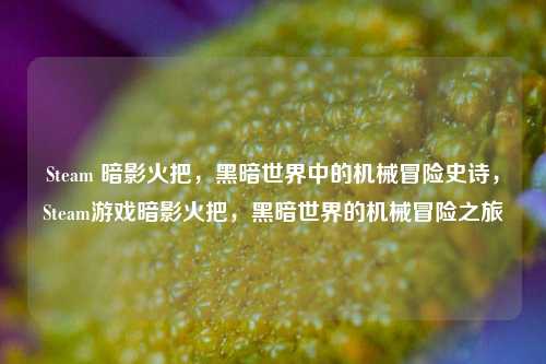 Steam 暗影火把，黑暗世界中的机械冒险史诗，Steam游戏暗影火把，黑暗世界的机械冒险之旅