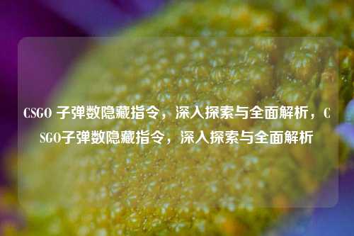 CSGO 子弹数隐藏指令，深入探索与全面解析，CSGO子弹数隐藏指令，深入探索与全面解析