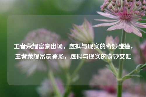 王者荣耀富豪出场，虚拟与现实的奇妙碰撞，王者荣耀富豪登场，虚拟与现实的奇妙交汇