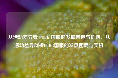 从活动差异看 PUBG 国服的发展困境与机遇，从活动差异剖析PUBG国服的发展困局与契机