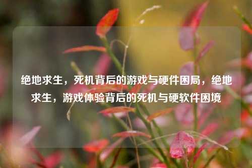 绝地求生，死机背后的游戏与硬件困局，绝地求生，游戏体验背后的死机与硬软件困境