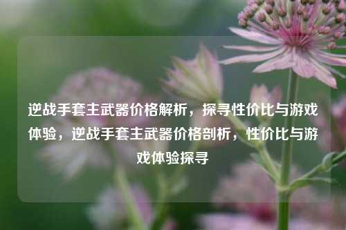 逆战手套主武器价格解析，探寻性价比与游戏体验，逆战手套主武器价格剖析，性价比与游戏体验探寻