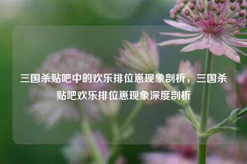 三国杀贴吧中的欢乐排位崽现象剖析，三国杀贴吧欢乐排位崽现象深度剖析