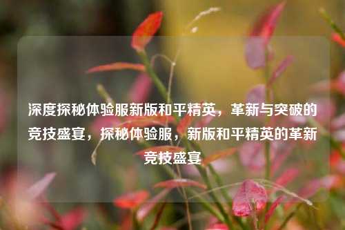 深度探秘体验服新版和平精英，革新与突破的竞技盛宴，探秘体验服，新版和平精英的革新竞技盛宴