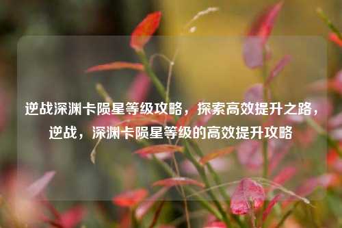 逆战深渊卡陨星等级攻略，探索高效提升之路，逆战，深渊卡陨星等级的高效提升攻略