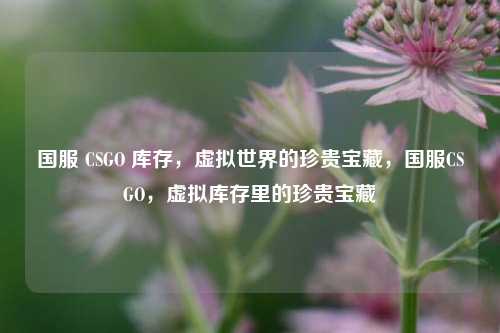 国服 CSGO 库存，虚拟世界的珍贵宝藏，国服CSGO，虚拟库存里的珍贵宝藏