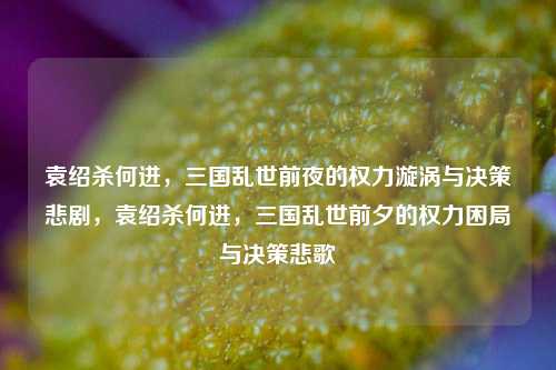 袁绍杀何进，三国乱世前夜的权力漩涡与决策悲剧，袁绍杀何进，三国乱世前夕的权力困局与决策悲歌