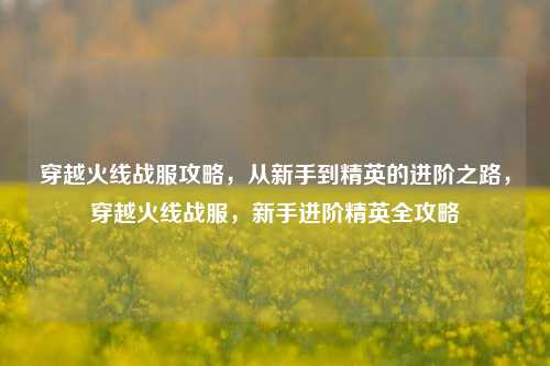 穿越火线战服攻略，从新手到精英的进阶之路，穿越火线战服，新手进阶精英全攻略