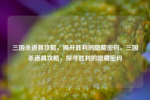 三国杀道具攻略，揭开胜利的隐藏密码，三国杀道具攻略，探寻胜利的隐藏密码