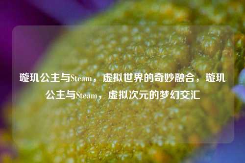 璇玑公主与Steam，虚拟世界的奇妙融合，璇玑公主与Steam，虚拟次元的梦幻交汇
