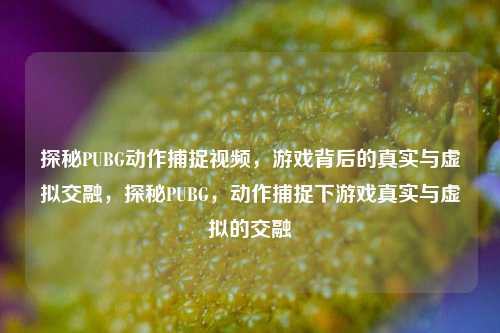 探秘PUBG动作捕捉视频，游戏背后的真实与虚拟交融，探秘PUBG，动作捕捉下游戏真实与虚拟的交融