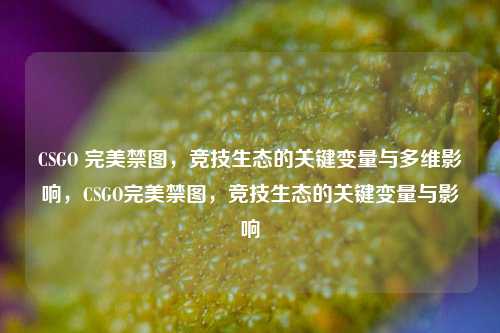 CSGO 完美禁图，竞技生态的关键变量与多维影响，CSGO完美禁图，竞技生态的关键变量与影响