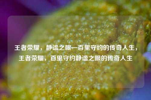 王者荣耀，静谧之眼—百里守约的传奇人生，王者荣耀，百里守约静谧之眼的传奇人生