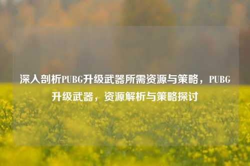 深入剖析PUBG升级武器所需资源与策略，PUBG升级武器，资源解析与策略探讨