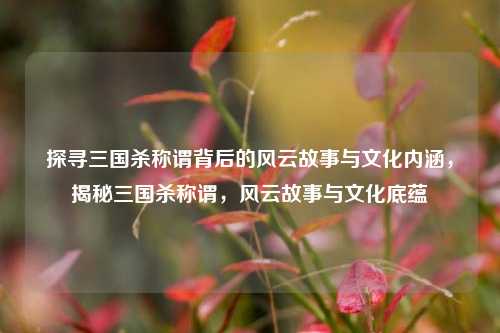 探寻三国杀称谓背后的风云故事与文化内涵，揭秘三国杀称谓，风云故事与文化底蕴