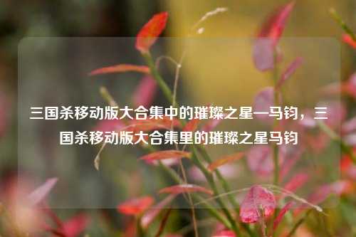 三国杀移动版大合集中的璀璨之星—马钧，三国杀移动版大合集里的璀璨之星马钧