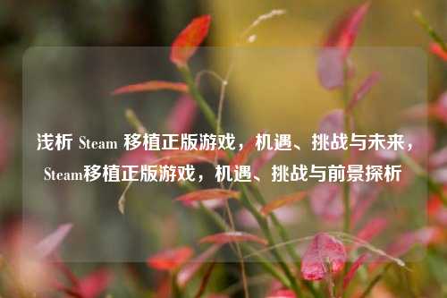 浅析 Steam 移植正版游戏，机遇、挑战与未来，Steam移植正版游戏，机遇、挑战与前景探析